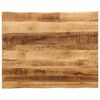 vidaXL Stoln&iacute; deska živ&aacute; hrana 100x80x3,8 cm masivn&iacute; hrub&yacute; mangovn&iacute;k