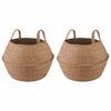 vidaXL Květin&aacute;č s &uacute;chyty 2 pcs Př&iacute;rodn&iacute; &Oslash; 45 x 36 cm 100% mořsk&aacute; tr&aacute;va