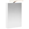 vidaXL Koupelnov&aacute; zrcadlov&aacute; skř&iacute;ň B&iacute;l&aacute; 40 x 10,5 x 60,5 cm