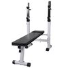vidaXL Fitness posilovac&iacute; lavice rovn&aacute;
