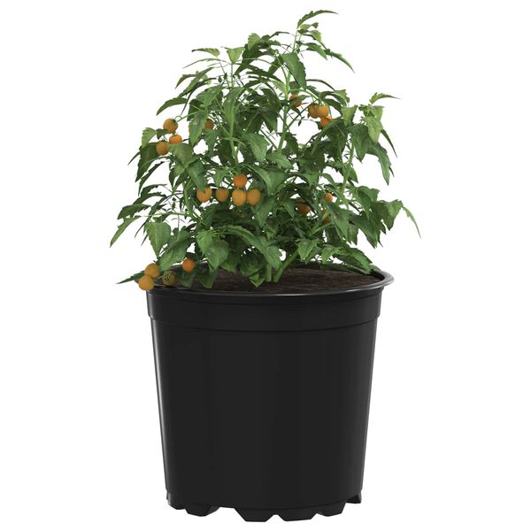 Zobrazen&iacute; obr&aacute;zku produktu 3 z 11