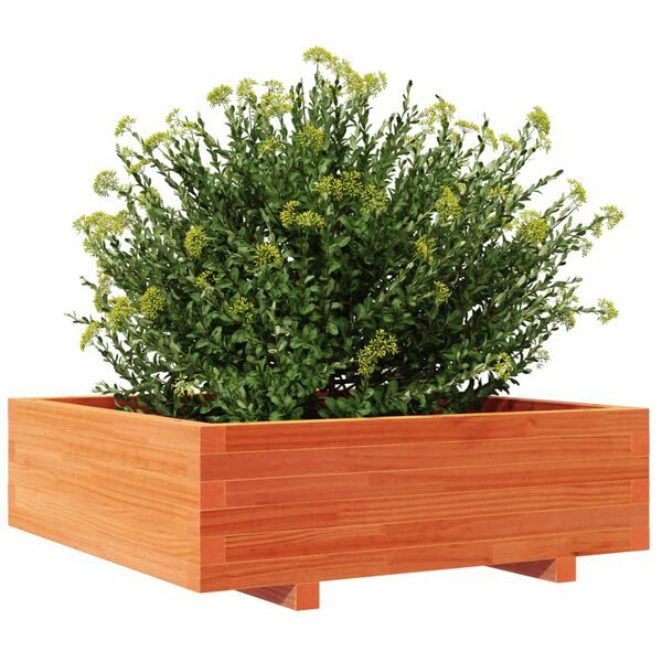 vidaXL Zahradn&iacute; truhl&iacute;k voskově hněd&yacute; 80x80x26,5 cm masivn&iacute; borovice