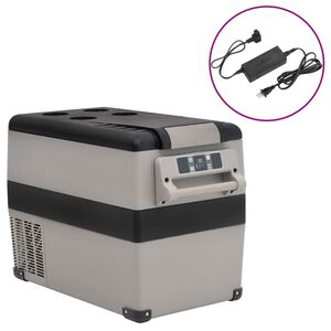 vidaXL Chladic&iacute; box s rukojet&iacute; a adapt&eacute;rem čern&yacute; a &scaron;ed&yacute; 55 l PP a PE