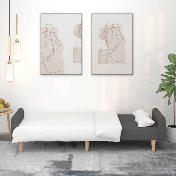 vidaXL 2místná rozkládací pohovka tmavě šedá textil