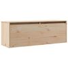 vidaXL N&aacute;stěnn&aacute; skř&iacute;ňka 100 x 30 x 35 cm masivn&iacute; borov&eacute; dřevo