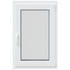 vidaXL Sklepn&iacute; okno 60x80 cm V&yacute;klopn&eacute;&Otočn&eacute; DIN prav&eacute; antracitov&eacute;