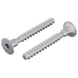 vidaXL &Scaron;roub 2 ks Zinkovan&yacute; 5 x 40 mm Železo