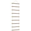 vidaXL N&aacute;stěnn&aacute; dekorace ve tvaru žebř&iacute;ku 50x150 cm Př&iacute;rodn&iacute; větev
