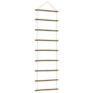 vidaXL N&aacute;stěnn&aacute; dekorace ve tvaru žebř&iacute;ku 50x150 cm Př&iacute;rodn&iacute; větev