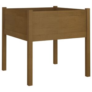 vidaXL Zahradn&iacute; truhl&iacute;k medově hněd&yacute; 70 x 70 x 70 cm masivn&iacute; borovice