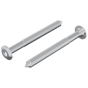 vidaXL &Scaron;roub 2 pcs Stř&iacute;brn&aacute; M6 x 60 mm Ocel