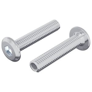 vidaXL Z&aacute;mkov&yacute; &scaron;roub Jednobarevn&yacute; 2 pcs Stř&iacute;brn&aacute; M6 x 30 mm Ocel