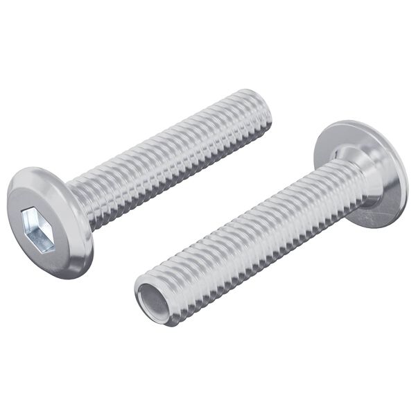vidaXL Z&aacute;mkov&yacute; &scaron;roub Jednobarevn&yacute; 2 pcs Stř&iacute;brn&aacute; M6 x 30 mm Ocel