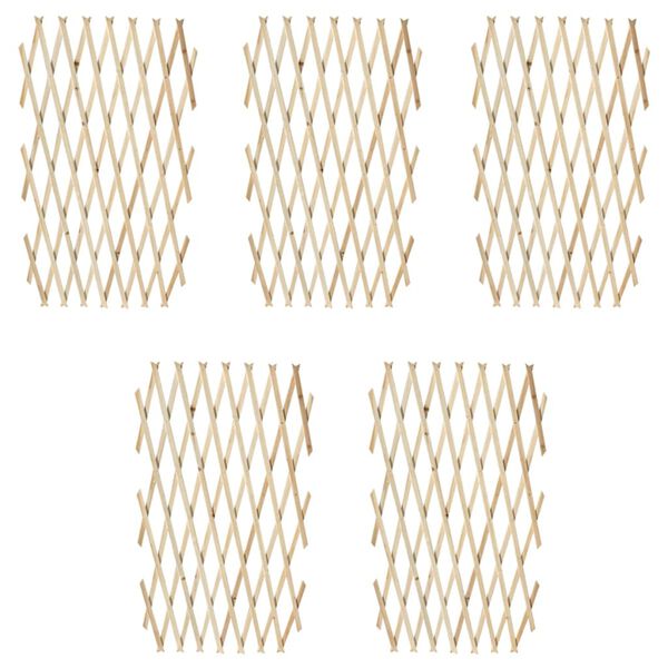 vidaXL Trelážová mřížka 5 ks masivní dřevo 180 x 90 cm