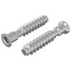 vidaXL &Scaron;roub s hlavou a krytkou 2 ks Stř&iacute;brn&aacute; M7 x 40 mm Ocel