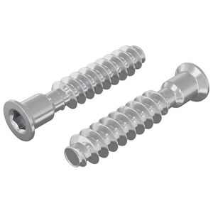 vidaXL &Scaron;roub s hlavou a krytkou 2 ks Stř&iacute;brn&aacute; M7 x 40 mm Ocel