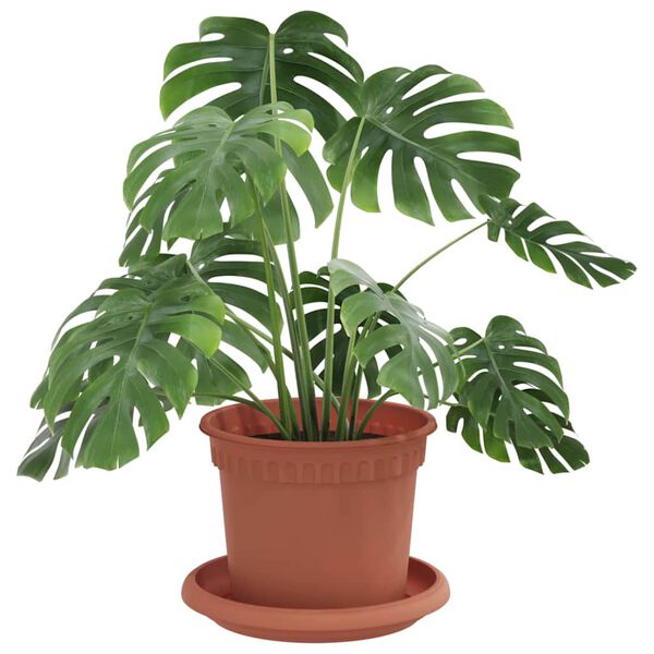 Zobrazen&iacute; obr&aacute;zku produktu 3 z 12