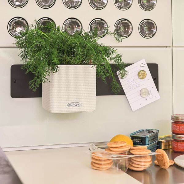 LECHUZA Květin&aacute;če 3 ks Green Wall Home Kit b&iacute;l&eacute;