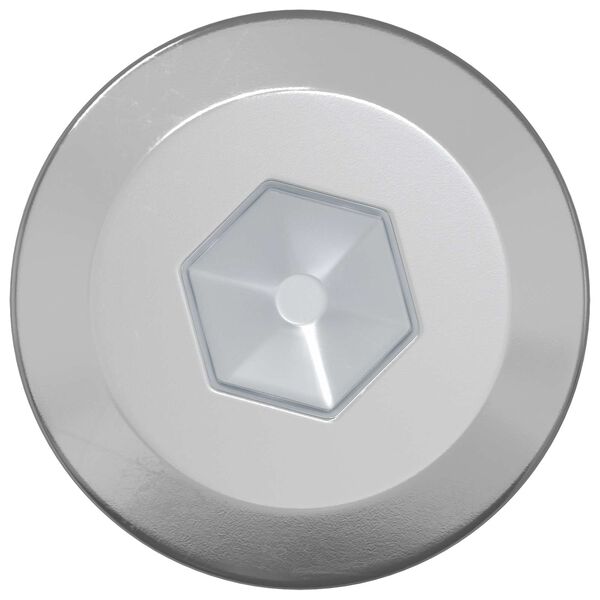 vidaXL Dřevěn&eacute; &scaron;rouby 2 pcs Stř&iacute;brn&aacute; M6 x 70 mm Ocel