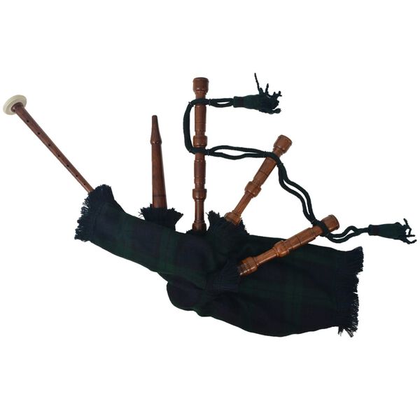 vidaXL Dětsk&eacute; skotsk&eacute; dudy horalsk&eacute; zelen&yacute; tartan Black Watch