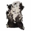 Multicolour