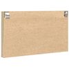 vidaXL Vitr&iacute;na dub sonoma 100 x 8,5 x 58 cm kompozitn&iacute; dřevo