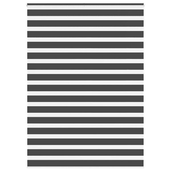 vidaXL Zebra roleta čern&aacute; 165x230 cm &scaron;&iacute;řka l&aacute;tky 160,9 cm polyester