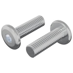 vidaXL &Scaron;roub 2 pcs Stř&iacute;brn&aacute; 8 x 25 mm Ocel