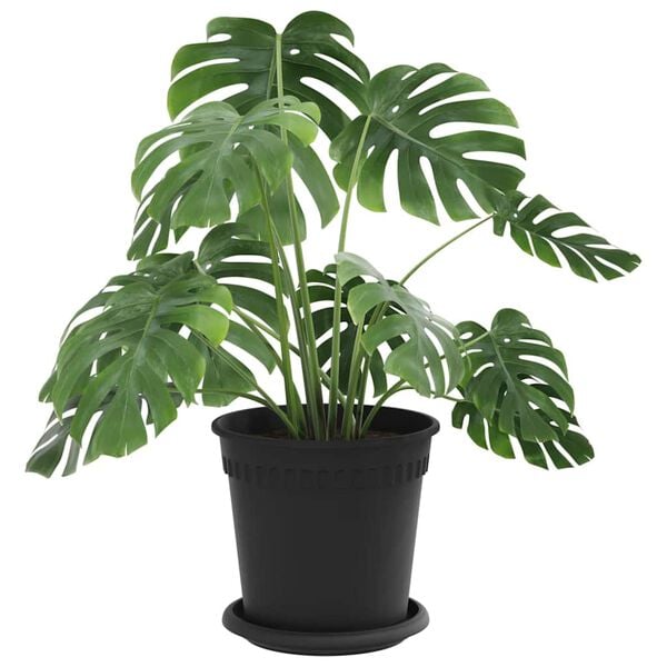 vidaXL Květin&aacute;če 24 pcs Čern&aacute; &Oslash; 17 x 14 cm Plast