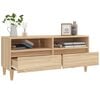 vidaXL TV skř&iacute;ňka dub sonoma 100 x 34,5 x 44,5 cm kompozitn&iacute; dřevo