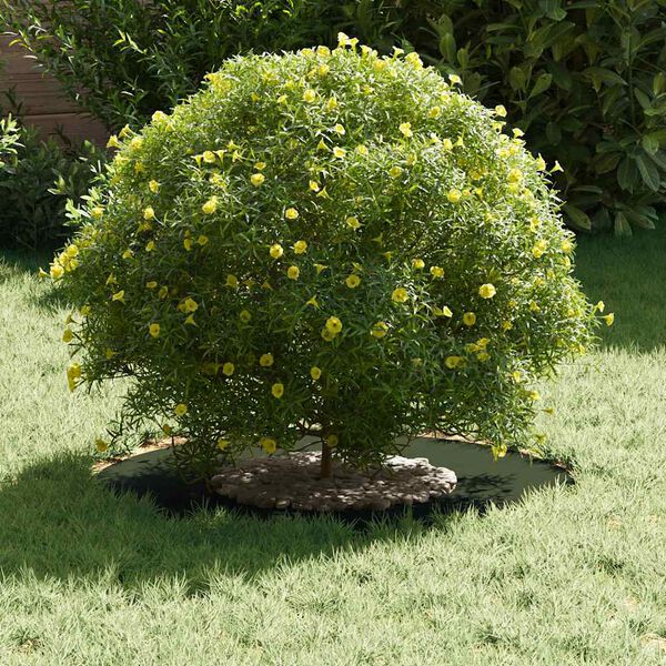 vidaXL vhodn&yacute; pro ploch&yacute; stromov&yacute; kroužek Olivově zelen&aacute; &Oslash;30 / 60 cm