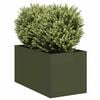 Olive_green