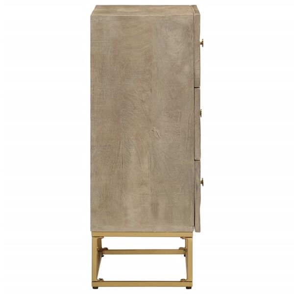 vidaXL Komoda se zásuvkami 55 x 30 x 76 cm masivní mangovník a železo