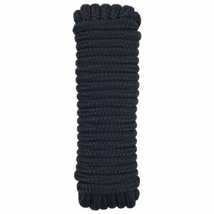 vidaXL Lano na loď 6 m 1 Kr&aacute;lovsk&aacute; modr&aacute; Polyester