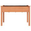 vidaXL Truhl&iacute;k s vložkou hněd&yacute; 118 x 59 x 76 cm masivn&iacute; jedlov&eacute; dřevo