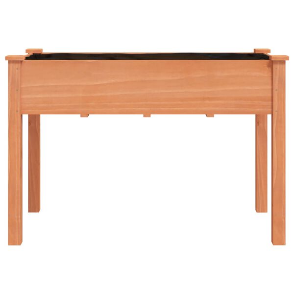 vidaXL Truhl&iacute;k s vložkou hněd&yacute; 118 x 59 x 76 cm masivn&iacute; jedlov&eacute; dřevo