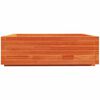 vidaXL Zahradn&iacute; truhl&iacute;k voskově hněd&yacute; 80x80x26,5 cm masivn&iacute; borovice