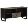 vidaXL TV skř&iacute;ňka čern&aacute; 100 x 33 x 46 cm masivn&iacute; mangovn&iacute;kov&eacute; dřevo