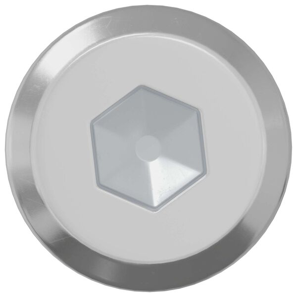 vidaXL Z&aacute;mkov&yacute; &scaron;roub Jednobarevn&yacute; 2 pcs Stř&iacute;brn&aacute; M6 x 30 mm Ocel