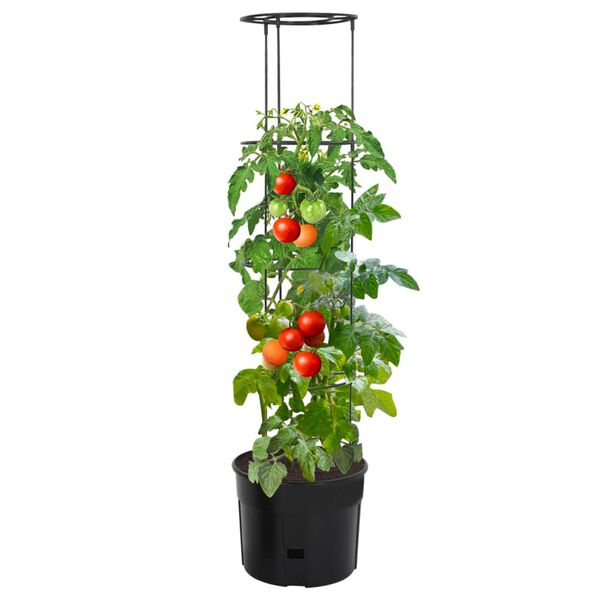 Zobrazen&iacute; obr&aacute;zku produktu 2 z 6