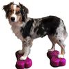 FitPAWS Balančn&iacute; platformy pro zv&iacute;řata Mini K9FITbone 2 ks 29x16,5x6cm