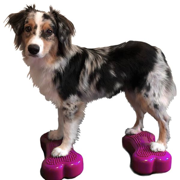 FitPAWS Balančn&iacute; platformy pro zv&iacute;řata Mini K9FITbone 2 ks 29x16,5x6cm