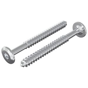 vidaXL Dřevěn&eacute; &scaron;rouby 2 ks Stř&iacute;brn&aacute; M6 x 70 mm Ocel