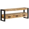 vidaXL TV skř&iacute;ňka 120 x 30 x 45 cm masivn&iacute; mangovn&iacute;kov&eacute; dřevo