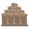 vidaXL Jutov&eacute; pytle 10 ks 65 x 135 cm 100% juta 220 g/m&sup2;