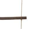 vidaXL Nástěnné dekorace ve tvaru žebříku 2 ks 30x100cm Přírodní větev