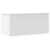 vidaXL &Uacute;ložn&yacute; box b&iacute;l&yacute; 100 x 42 x 46 cm kompozitn&iacute; dřevo