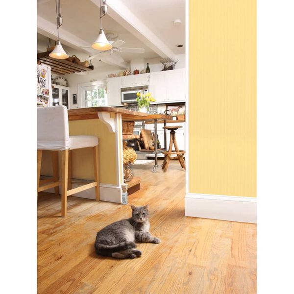 PetSafe Z&aacute;kazov&yacute; sprej pro psy a kočky Ssscat 1 m 6059A