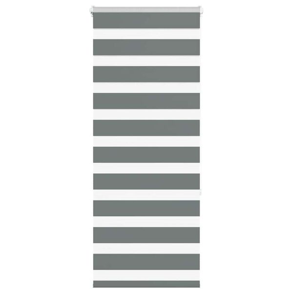 vidaXL Zebra roleta tmavě šedá 60x150 cm šířka látky 55,9 cm polyester