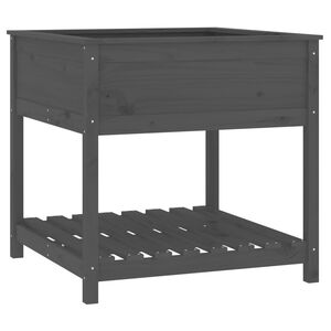 vidaXL Truhl&iacute;k s polic&iacute; &scaron;ed&yacute; 82,5 x 82,5 x 81 cm masivn&iacute; borov&eacute; dřevo